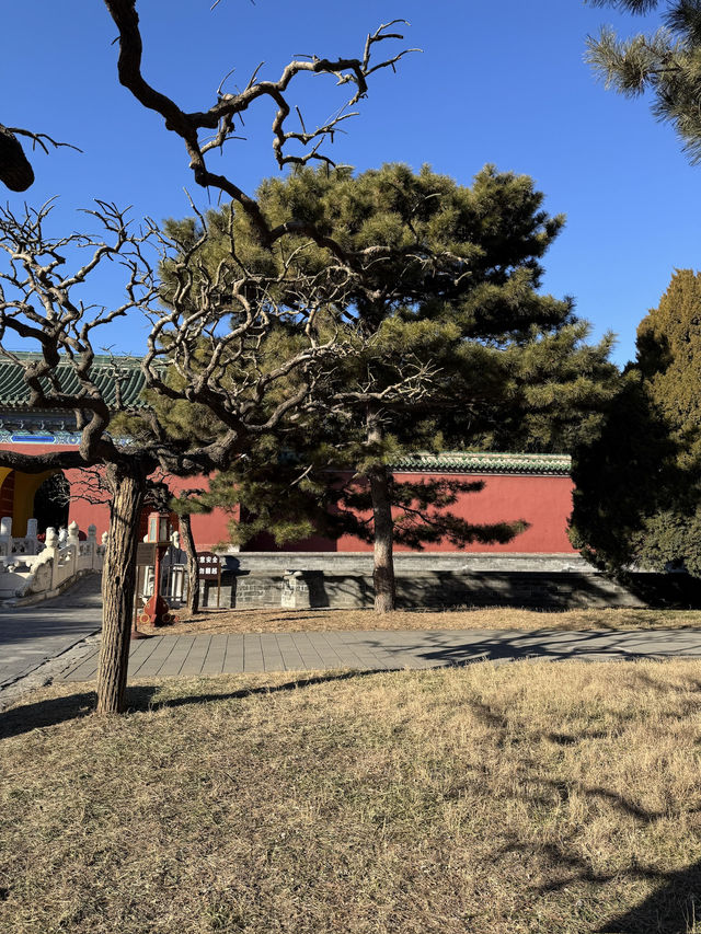 How to spend 1 days in Beijing