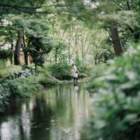 nagai park osaka japan