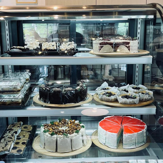 🌿☕ De’Bua Cafe – คาเฟ่สุดร่มรื่นใจกลางเมืองสตูล 🏞