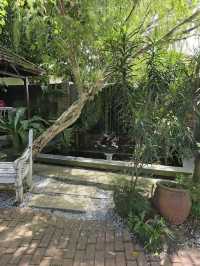 Aunty Aini’s Garden Cafe Nilai, Kampung Flavors with Celebrity Legacy