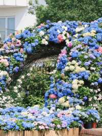Haining Flower Garden Expo｜Stepped Into a Monet Dreamland 🖌️✨