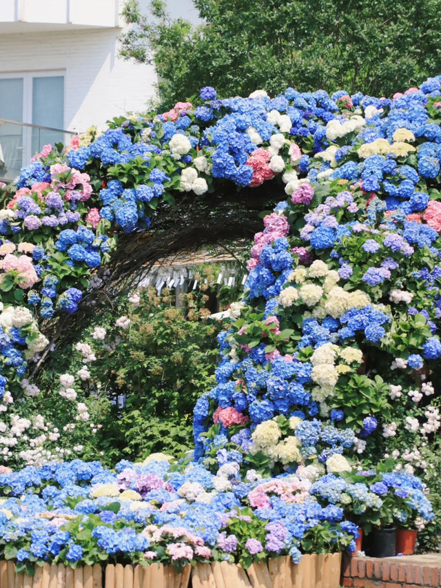 Haining Flower Garden Expo｜Stepped Into a Monet Dreamland 🖌️✨