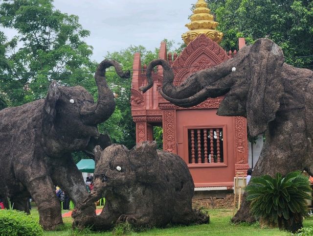 🌞 1 Day Fun Walk in Surin, Thailand 🇹🇭