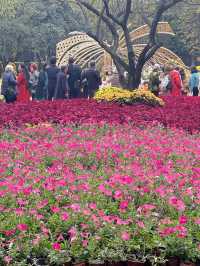People’s park at Chengdu 🎡