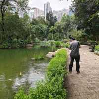 Hong Kong Park – Free aviary, fountain garden, and conservatory.