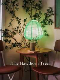 The Hawthorn Tree
