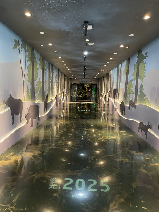 Chengdu Panda museum 🐼