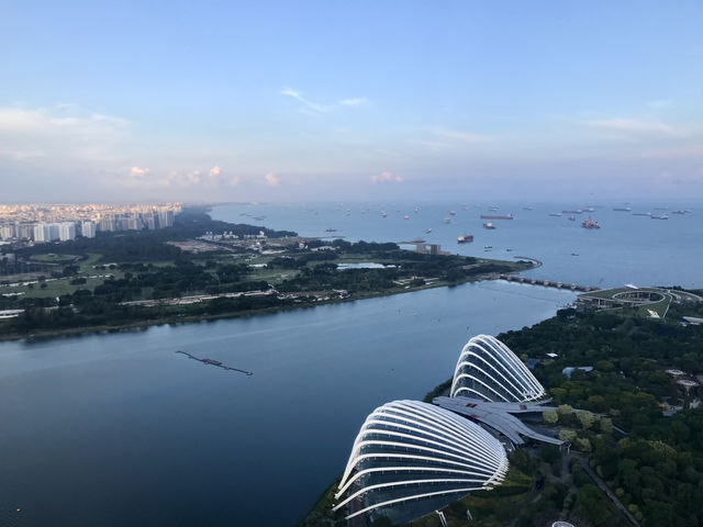 新加坡-金沙酒店SkyPark 觀景台（57樓）