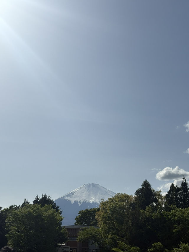 เที่ยวโตเกียว และภูเขาไฟฟูจิ🗻🇯🇵