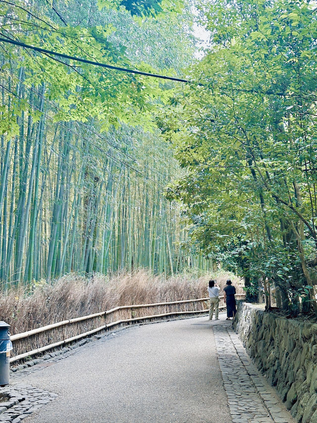 여름에도 좋은 일본 여행지 🇯🇵🌳