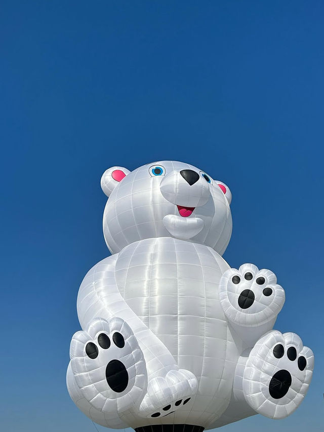 【佐賀バルーンフェスタ】空を彩る夢の祭典🎈🚀