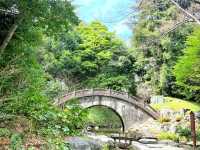 A Relaxing Walk Through Tokyo’s Garden and Cultural Highlights
