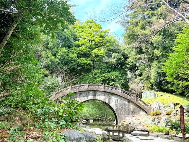 A Relaxing Walk Through Tokyo’s Garden and Cultural Highlights
