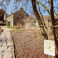 Beatrix Potter's