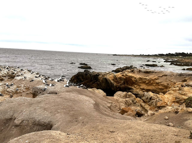 Stunning 17 Miles between Monterey and Carmel