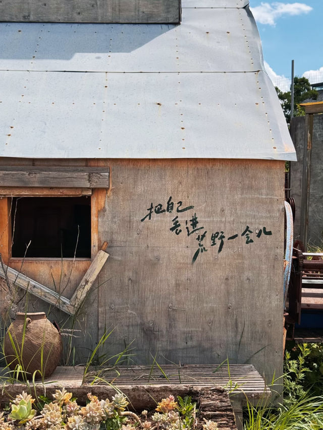 🌟 Wilderness Kingdom — Lijiang’s Fairy‑Tale Art Park