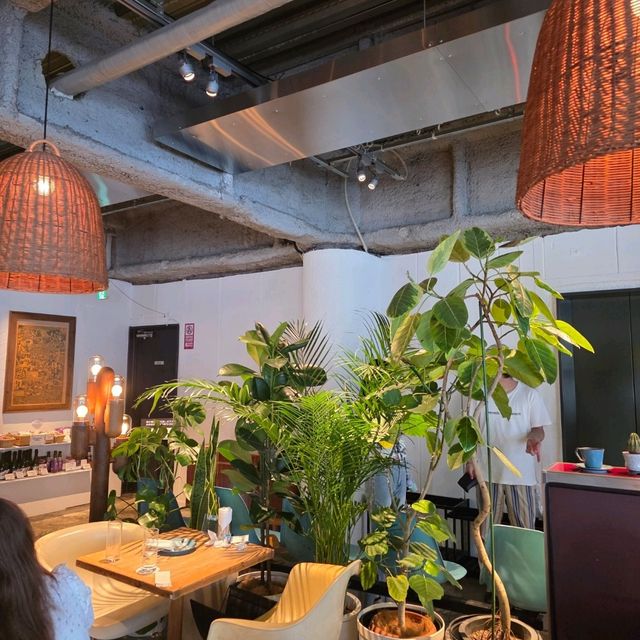 [渋谷]雰囲気⭕リゾート感のある渋谷のカフェ[DUKE Cafe 渋谷神南店]