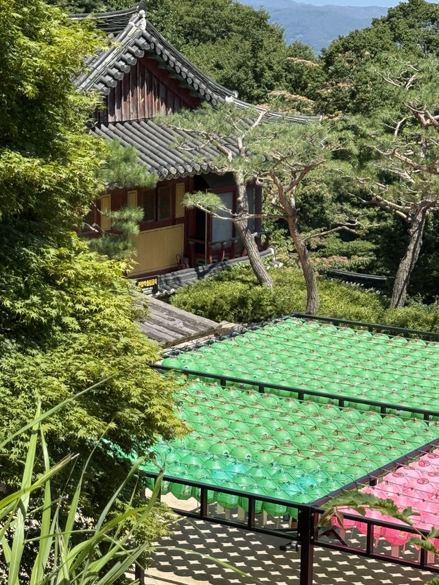 石窟庵山腳下：「壽光不語，道在其中」壽光殿