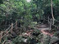 A Hidden Green Escape – Hutan Simpan Renggam Awaits