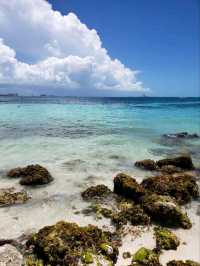 Sun, Sand, and Pure Sea on the Caribbean Coast 