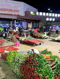 Blossom Wonderland of Dounan