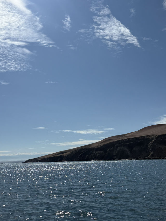 희귀한 야생 동물의 천국 페루 바예스타 섬🏝️