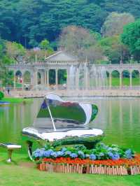 🌼 The best flower seas in Guangzhou