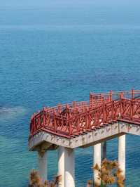 Healed by the Sea – Yantai Yangma Island’s Endless Blue 🌊