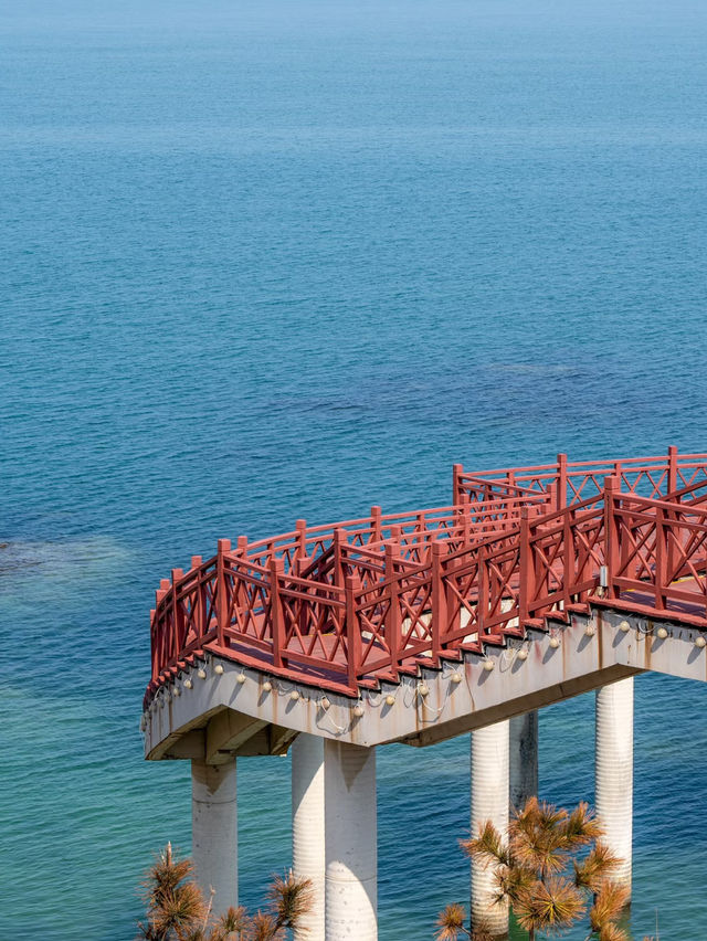 Healed by the Sea – Yantai Yangma Island’s Endless Blue 🌊
