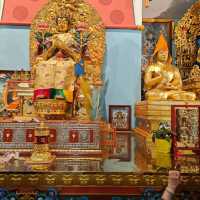 Finding Peace at Gandantegchinlen Monastery