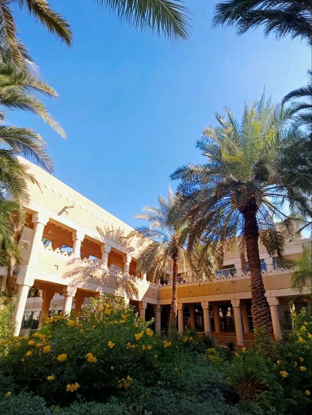 Learn About Saudi Arabia's Past