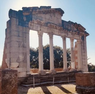 🏛️✨ A Solo Pilgrimage to Illyria’s Ivy-Covered Ruins: Apollonia Archaeological Park