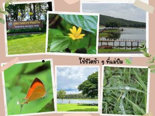 “메핌의 분위기 속에서 즐기는 슬로우 라이프 🌿✨”