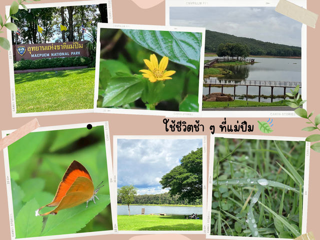 “ชีวิตช้า ๆ กับบรรยากาศแม่ปืม 🌿✨” “ชีวิตช้า ๆ กับบรรยากาศแม่ปืม 🌿✨”