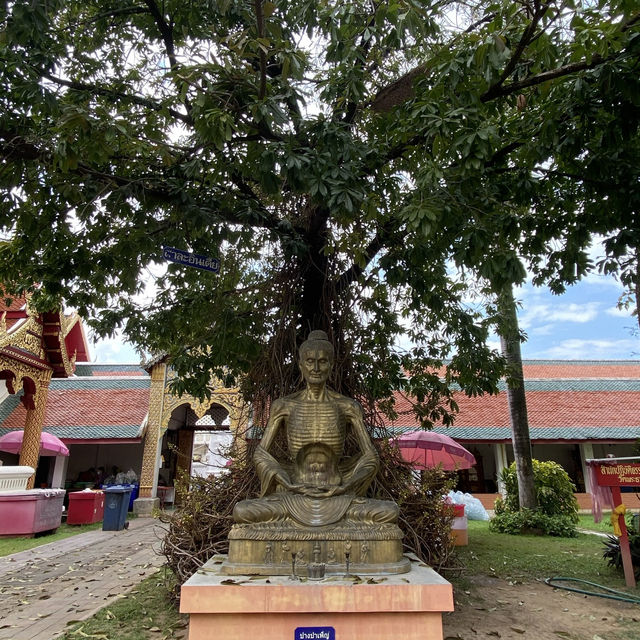 🌟 มาแอ่วลำพูน แวะไหว้พระธาตุคู่เมือง 🌟ททท