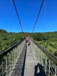 Yangmingshan National Park — TPE 🌳👣
