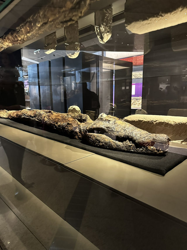 Absolute G.E.M. - Grand Egyptian Museum 🏛️