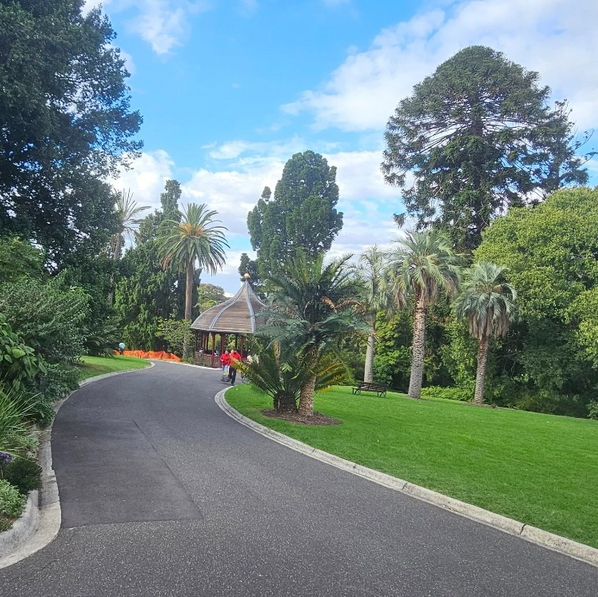 Nature’s Masterpiece at the Royal Botanic Gardens Victoria