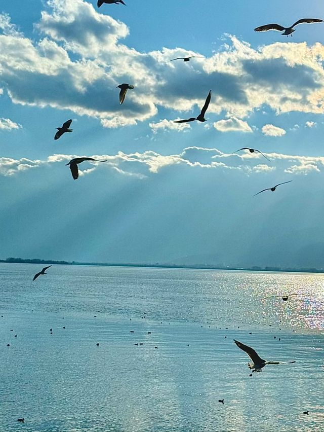 Where Mountains Meet the Sky – The Serenity of Erhai