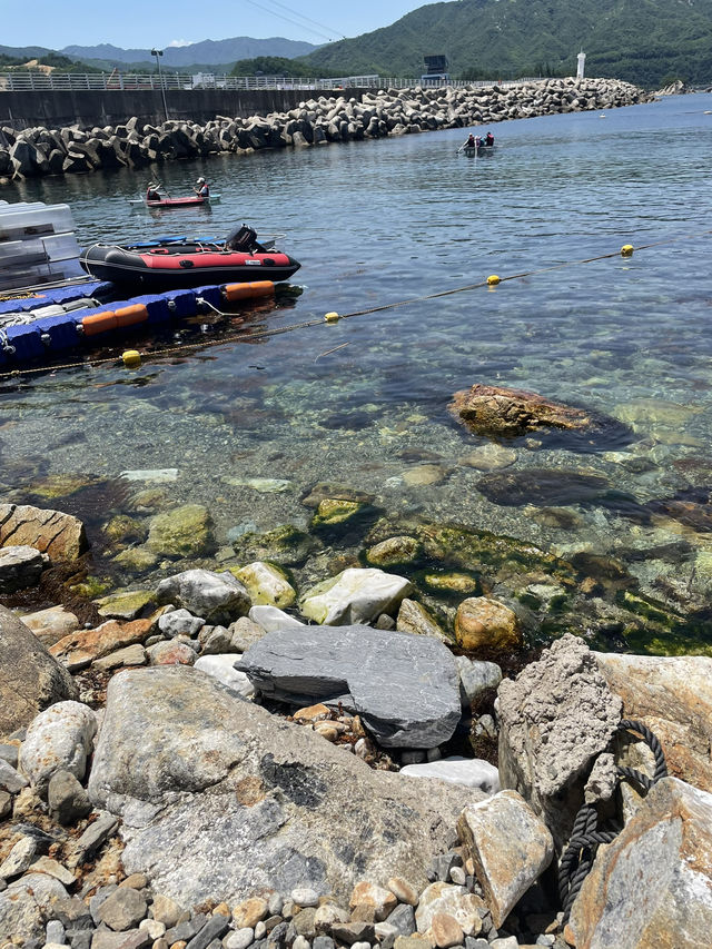 투명한 바다와 힐링 가득했던 장호항 여행기 🌊