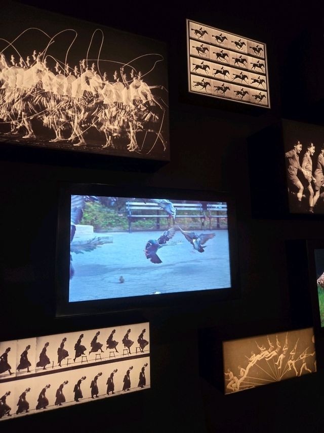 🎬 멜버른 ACMI