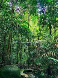 「柔佛隱藏版打卡山丘。」