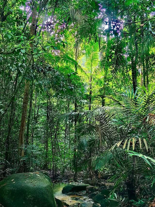 「柔佛隱藏版打卡山丘。」 「柔佛隱藏版打卡山丘。」