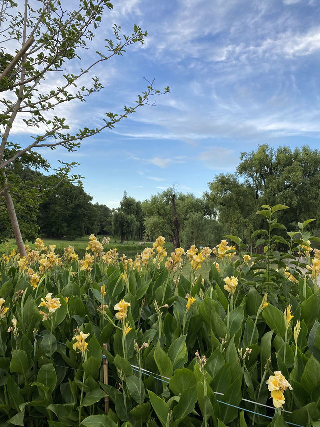 上海4A級國家森林公園-共青森林公園🌳🌿🐿️