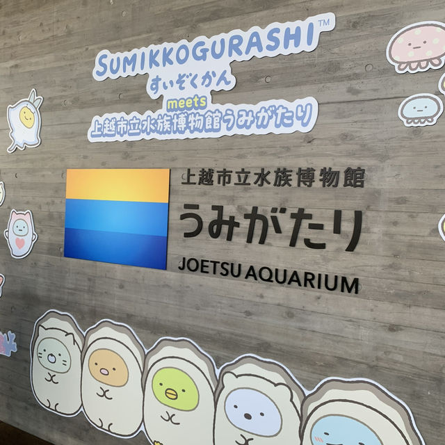 長岡花火の翌日に寄り道！癒しのうみがたり水族館❤️