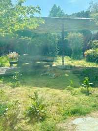 【韓国🇰🇷光州/動物園🦓】 우치공원동물원 全て無料でこのクオリティ‼️😳