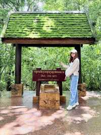 เดินชมธรรมชาติที่จุดสูงสุดแดนสยาม 