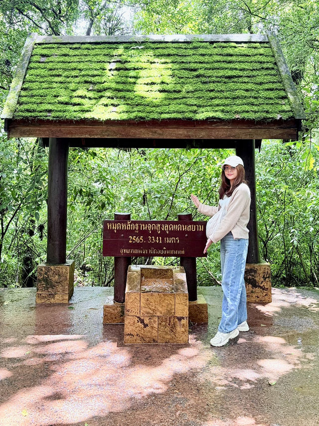 เดินชมธรรมชาติที่จุดสูงสุดแดนสยาม 