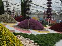 金马仑 Agro Market