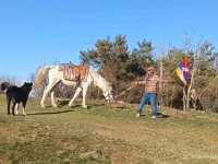 【アルメニア】セヴァン湖畔に立つ修道院「セヴァナヴァンク」
